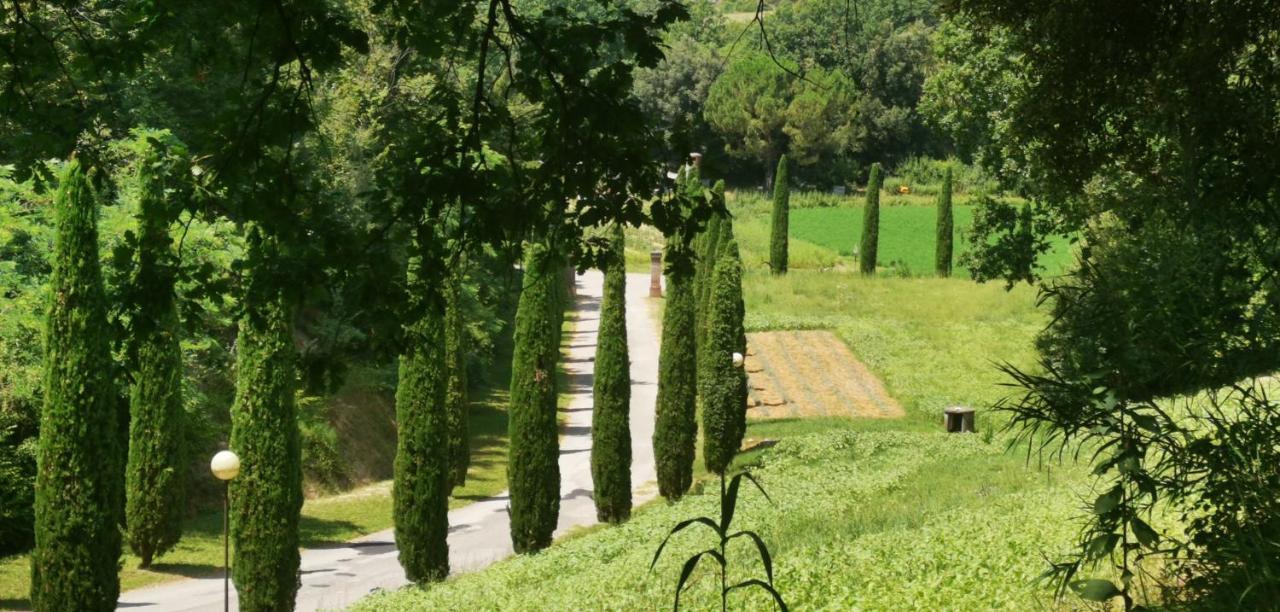 Agriturismo Cascina Cipressa San Romano  Extérieur photo