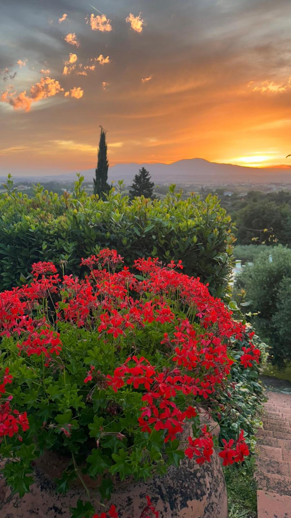 Agriturismo Cascina Cipressa San Romano  Extérieur photo