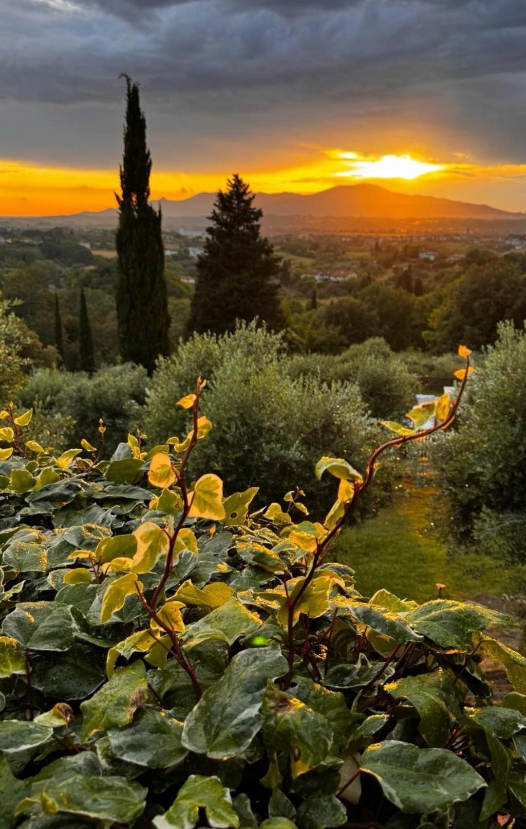 Agriturismo Cascina Cipressa San Romano  Extérieur photo